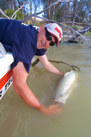 Over 20,000 trout cod were recently released into the Macquarie River at three locations downstream of Bathurst.